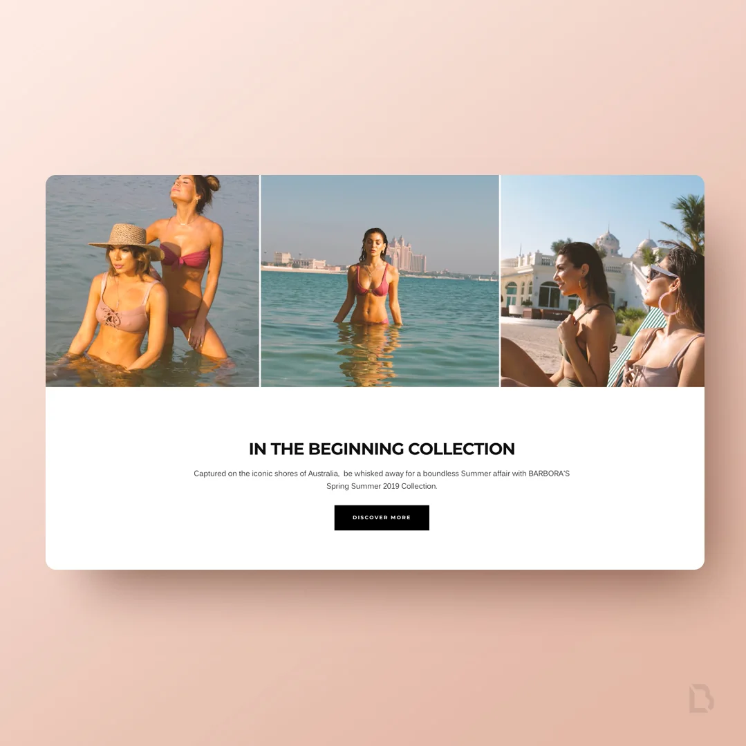 Barbora website design by Balar Media Group