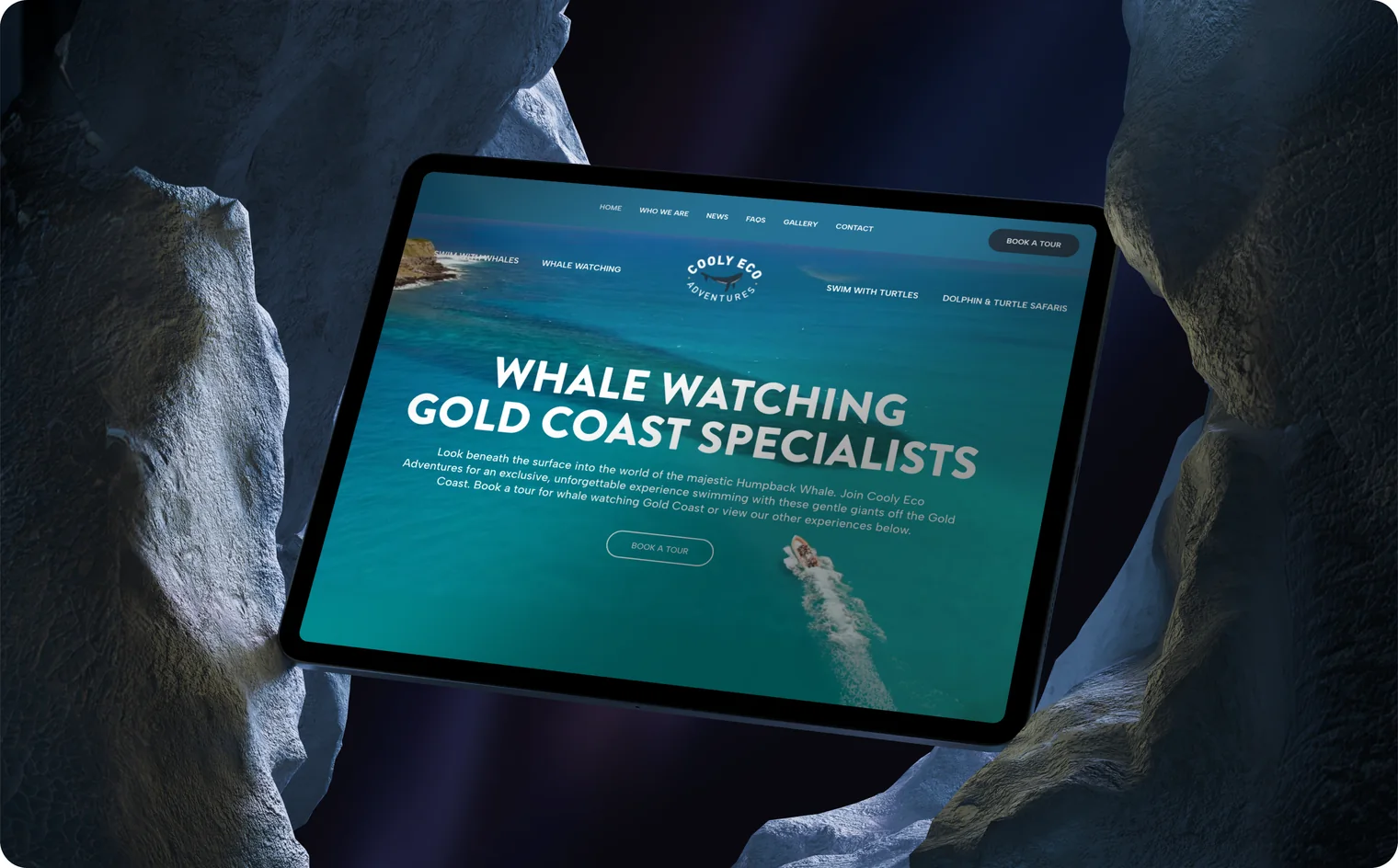 Cooly Eco Adventures website design by Balar Media Group