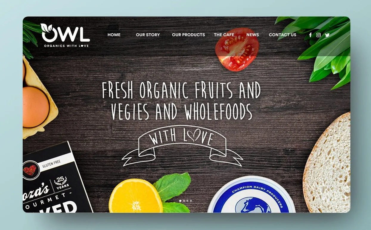 Owl Whole Foods website design by Balar Media Group