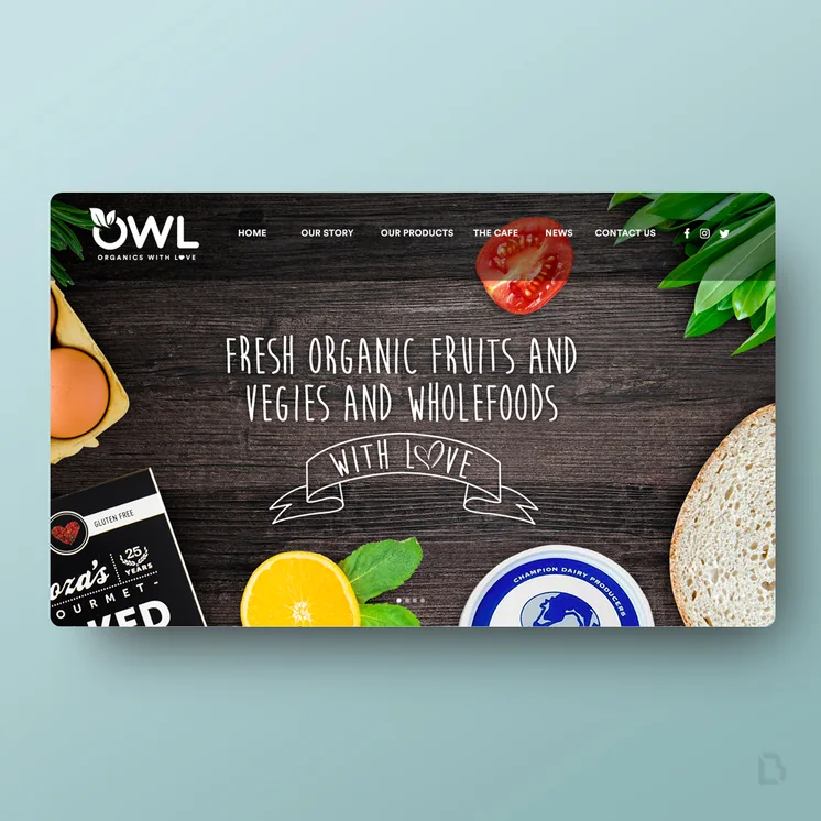 Owl Whole Foods website by Balar Media Group