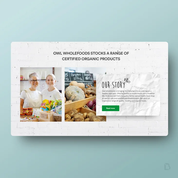 Owl Whole Foods website detail by Balar Media Group