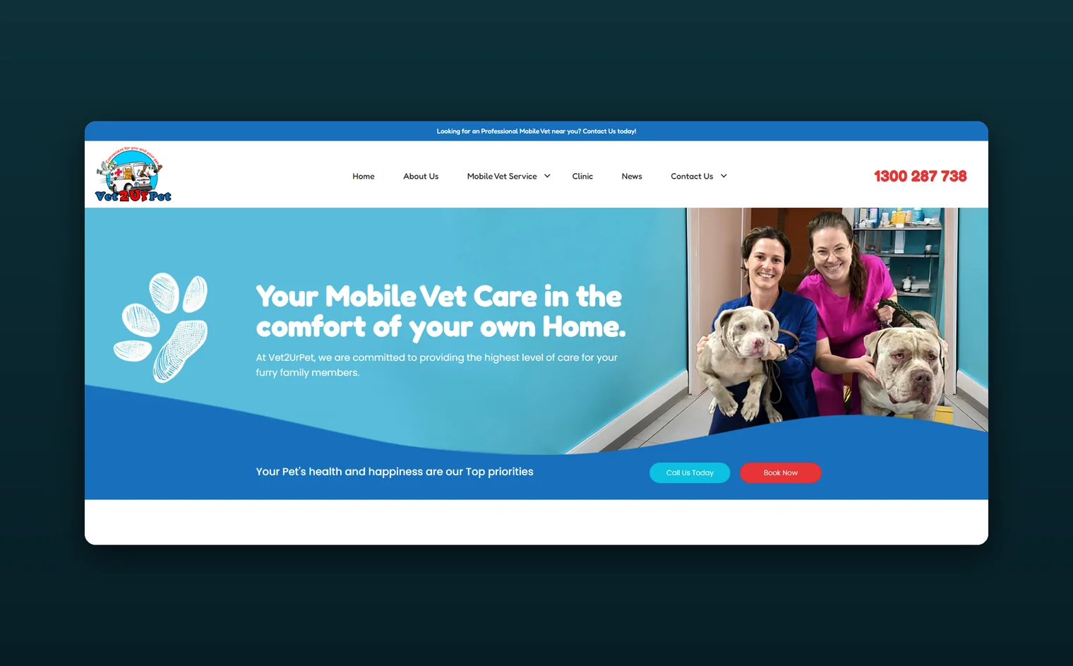 Vet2UrPet website design by Balar Media Group