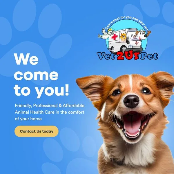 Vet2UrPet website by Balar Media Group