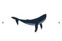 Cooly Eco Adventures
