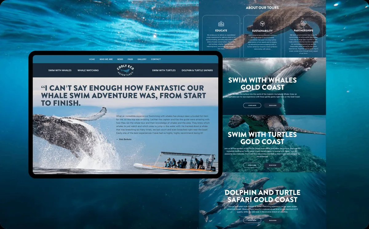 Cooly Eco Adventures website by Balar Media Group on desktop